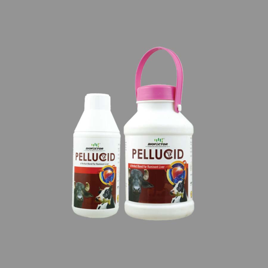 biofactor_vet_pellucid_product_image_1