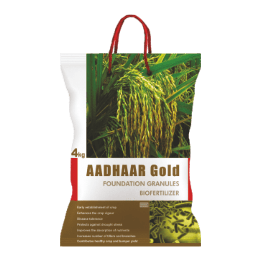 aadhar-gold-rice-transparent-1-min